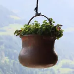 La Pala Avec Chalet