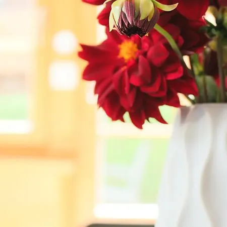 La Pala Avec * Val dʼIlliez